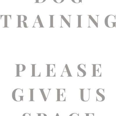 Rescue Dog In Training 3 Thumbnail